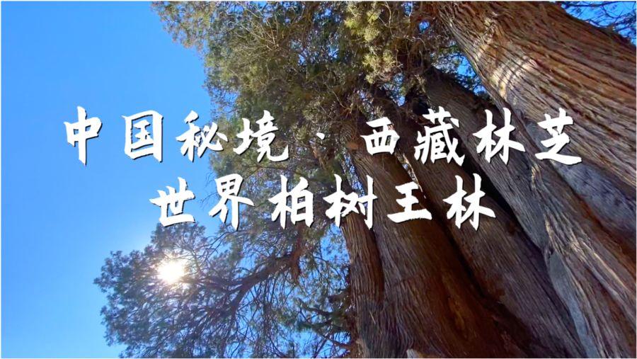 游戏游艺设备内容核准单-批准文号：湘游艺审〔2024〕14号