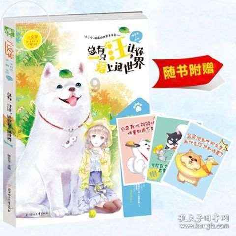 苏菲亚的休闲装