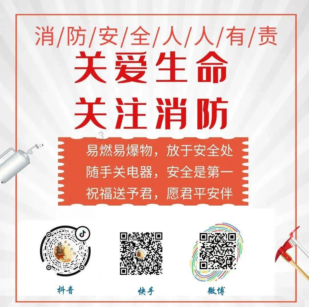 生化危机：浣熊市行动