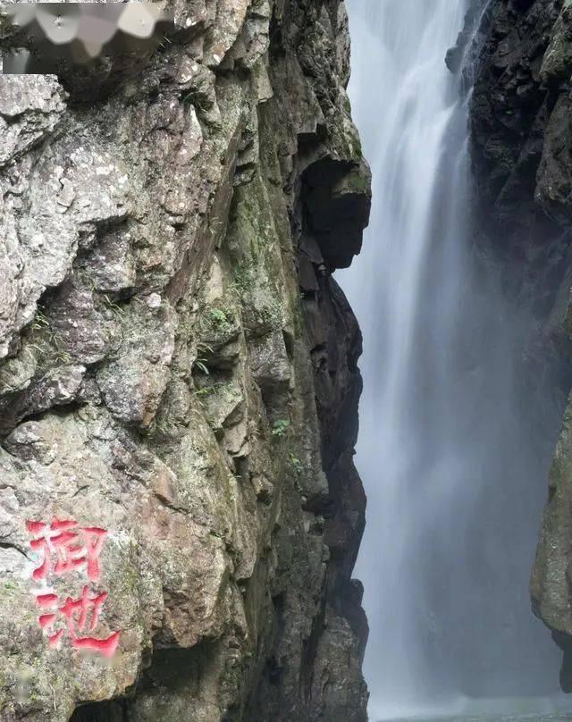 百味人生 | 40岁“大叔”二次创业路：曾经支教筹资百万助学，如今用崂山茶首创新茶饮