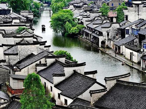 拯救红松鼠